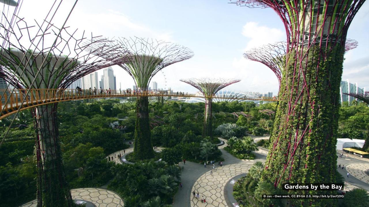 Zen Rooms Orchard Singapur Dış mekan fotoğraf